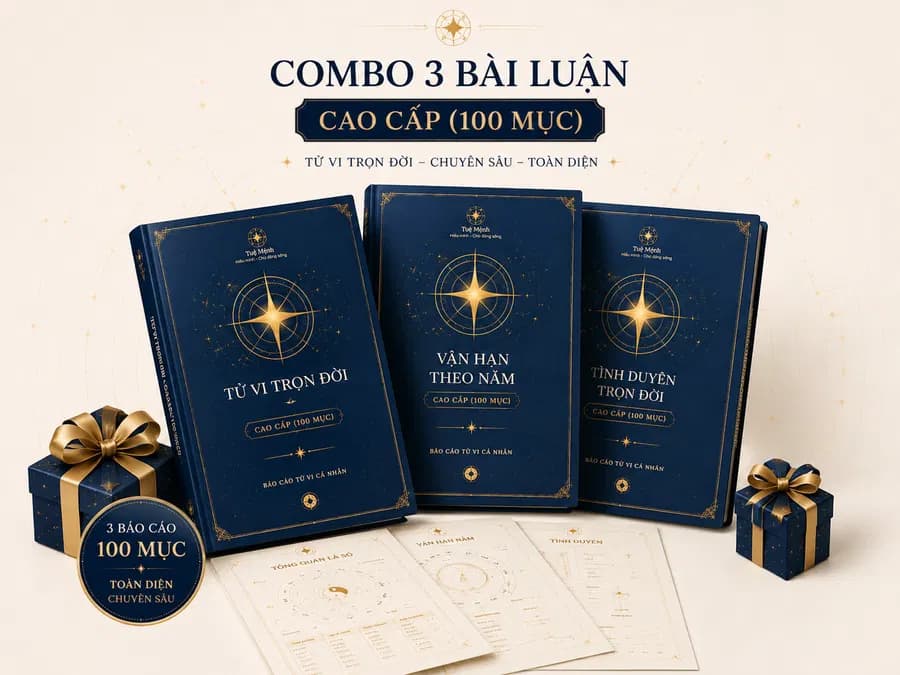 Combo 3 bài luận cao cấp (100 mục)