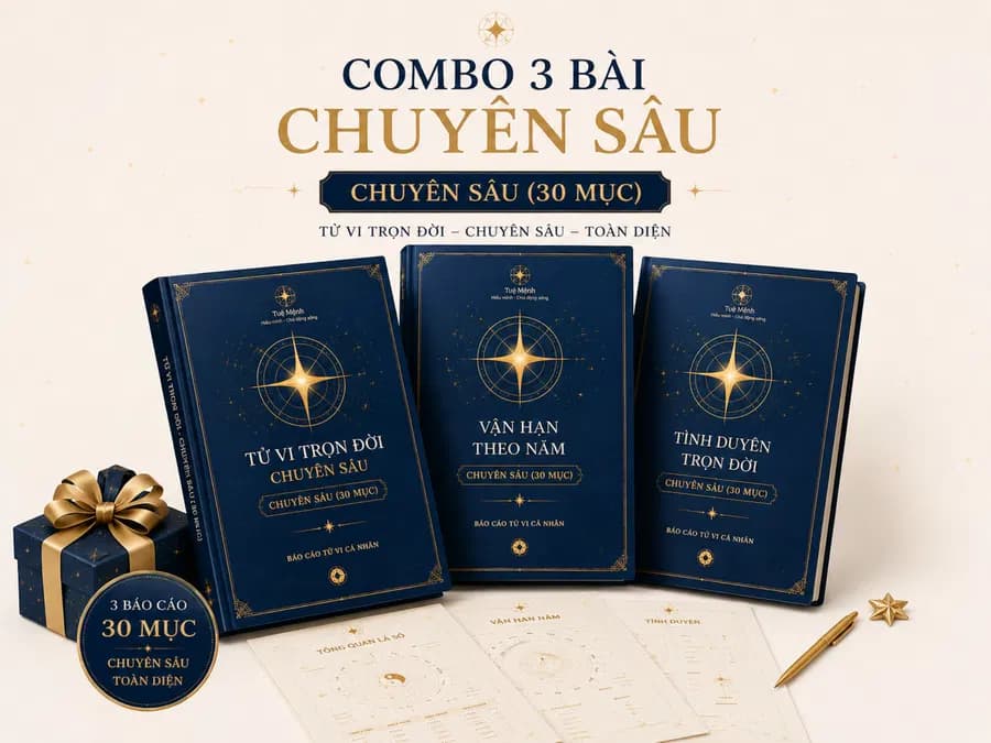 Combo 3 bài luận chuyên sâu (30 mục)