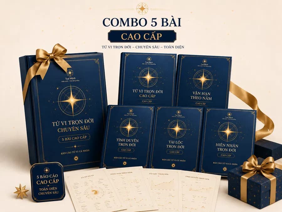 Combo 5 bài luận cao cấp (100 mục)