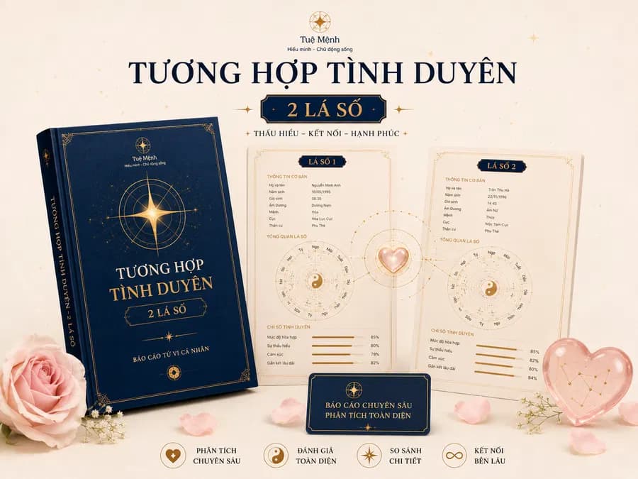 Tương Hợp Tình Duyên — Phân tích 2 lá số